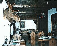 minger2.jpeg (13525 bytes)