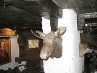 photo5